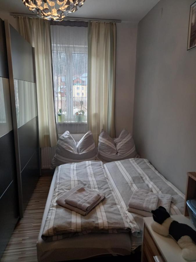 S&W Apartment Loserblick Альтаусзее Экстерьер фото